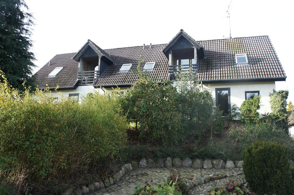 Lyng Dal Hotel Og Restaurant Ry Buitenkant foto